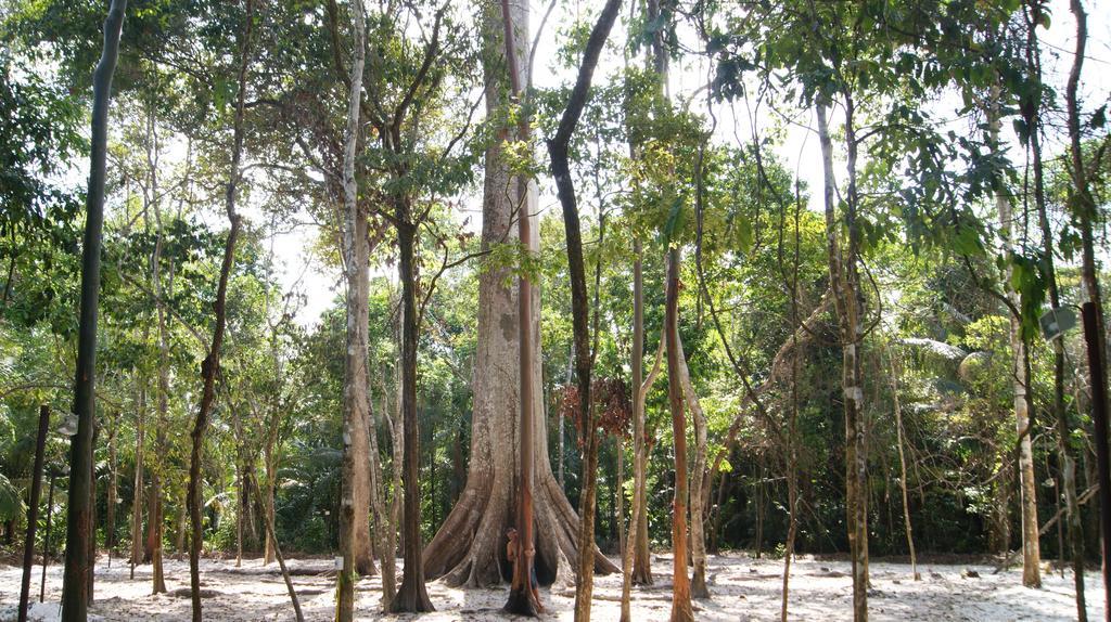 Pousada Recanto Familia Bianchi Macapá Esterno foto